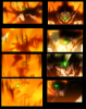 袁紹.png